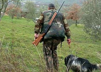 Federcaccia Calabria: Chiarimento importante sul calendario venatorio
