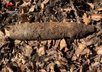 I Carabinieri forestali rinvengono ordigno bellico risalente alla seconda guerra mondiale, fatto brillare dagli artificieri
