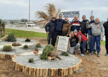 Nuova aiuola completata da “Città Pulita” all’interno dell’Area Portuale di Cirò Marina