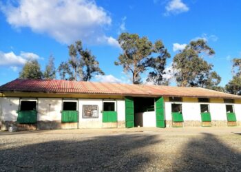 A Cirò Marina apre un nuovo “Centro Ippico”