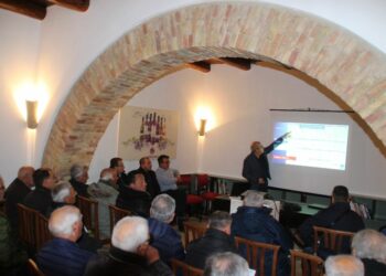 Seminario tecnico organizzato dall’associazione “i Vignaioli del Cirò”