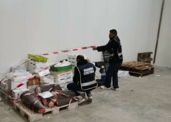 Sequestrate dalla Guardia costiera di Crotone più di 2 tonnellate e mezzo di prodotto ittico nel periodo delle festività natalizie