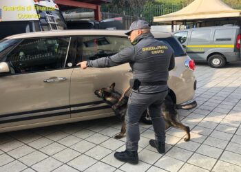 Trasportavano 1,6 kg di eroina purissima, la Guardia di finanza arresta due donne