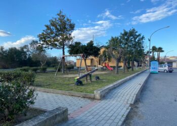 Cirò Marina: completati i lavori di potatura nella Villetta comunale di San Giuseppe