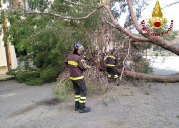 Crotone, forte vento: 25 interventi effettuati dai Vigili del Comando Provinciale
