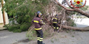Crotone, forte vento: 25 interventi effettuati dai Vigili del Comando Provinciale