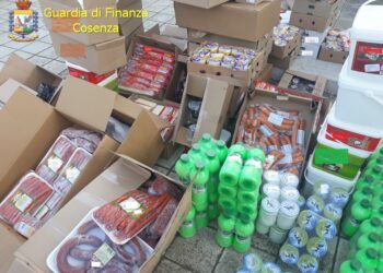 Fermato dalla Finanza un furgone sulla SS106: a bordo oltre 600 kg di alimenti in cattivo stato di conservazione, sequestrati