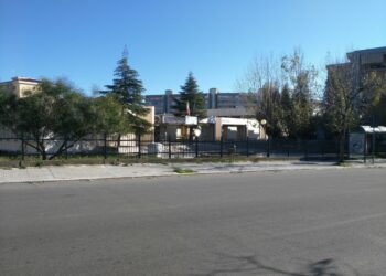 Giovedì 13 febbraio: i Carabinieri di Catanzaro donano 3 Aceri Opali, semi di mirto e ligustro all’IC Alcmeone di Crotone