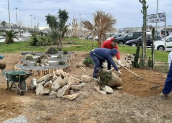L’associazione Città Pulita completa anche l’altra aiuola all’interno del porto di Cirò Marina