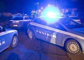 Narcotraffico: maxioperazione di Polizia e Dda di Catanzaro contro un’organizzazione criminale operante nella provincia cosentina