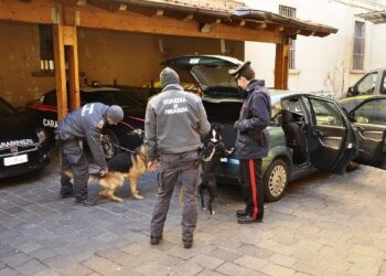 Isola Capo Rizzuto: sorpreso con sostanza stupefacente, arrestato