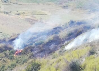Cirò: Ettari di sterpaglie e uliveti cancellati dalle fiamme, l’intervento dei Vigili del Fuoco ha evitato il peggio