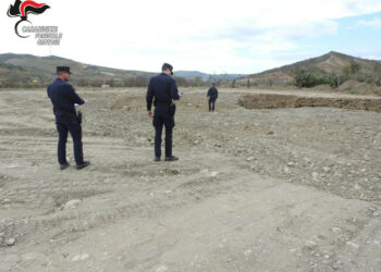 Cirò: Sorpreso mentre coltiva in un’area golenale nel torrente Lipuda, denunciato 53enne di Cirò Marina