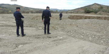 Cirò: Sorpreso mentre coltiva in un’area golenale nel torrente Lipuda, denunciato 53enne di Cirò Marina