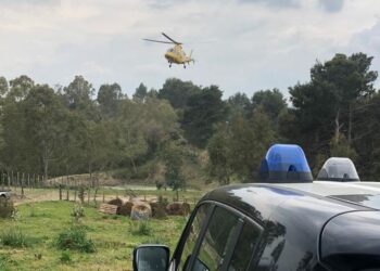 Cirò: cade in un burrone, 59enne trasportato con l’elisoccorso all’Ospedale civile di Crotone