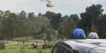 Cirò: cade in un burrone, 59enne trasportato con l’elisoccorso all’Ospedale civile di Crotone