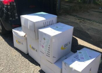 Emergenza coronavirus: Arpacal dona dispositivi di protezione agli Ospedali di Cosenza e Catanzaro