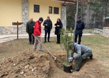 Il Parco Nazionale della Sila aderisce a “Mi illumino di meno”