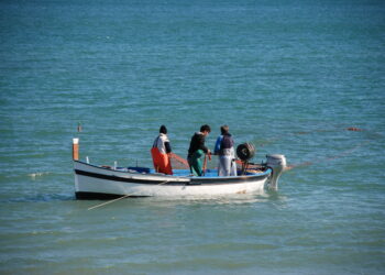 Coronavirus: il presidente Santelli incontra le forze politiche regionali