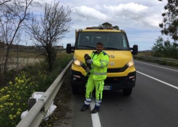 Poiana tratta in salvo sulla SS107 nel crotonese