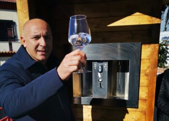 115 pini secolari abbattuti: la risposta del Sindaco di Montegiordano