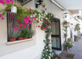 Al via “Crotone in Fiore” Concorso destinato all’abbellimento floreale e decorativo di balconi e aiuole. Inviare foto entro 20 maggio