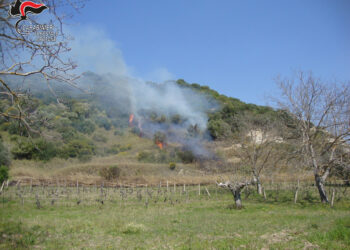 Brucia canne e provoca un incendio alla macchia mediterranea, denunciato pensionato