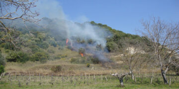 Brucia canne e provoca un incendio alla macchia mediterranea, denunciato pensionato