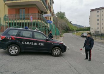 Coronavirus: Violano le misure restrittive alla circolazione per rubare le galline ad un’azienda agricola, fermati dai Carabinieri