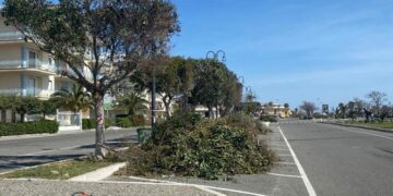 Cirò Marina: completati i lavori di potatura sul tratto del lungomare Torrenova