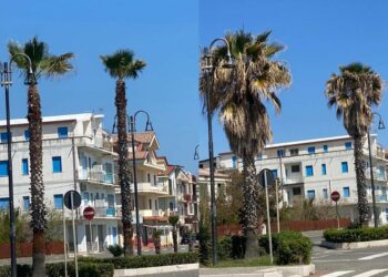 Cirò Marina: prosegue il piano di lavoro della Commissione Straordinaria sulle aree verdi e parchi cittadini