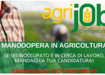 Emergenza manodopera nelle campagne: con “Agrijob”, Confagricoltura fa incontrare domanda e offerta di lavoro