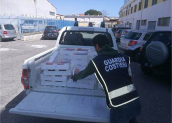 Fermato un furgone nel comune di Strongoli con 150kg di bianchetto nonostante i divieti: pesante sanzione di 10 mila euro