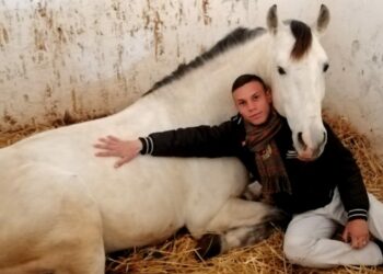 L’appello del cavaliere Vincenzo De Leo ai calabresi