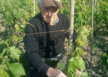 Coronavirus. Tragedia a Cirò Marina, 89enne si toglie la vita perchè non poteva andare in campagna