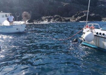 Ripulire i fondali dei mari  calabresi con l’aiuto dei pescatori, 300 mila euro a sostegno della pesca e della tutela degli ecosistemi marini