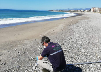 Al via la campagna di Balneazione 2020: online i report provinciali e regionale