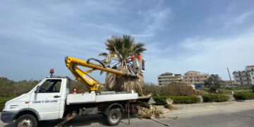 Cirò Marina: proseguono gli interventi di pulizia e potatura del verde sul lungomare cittadino