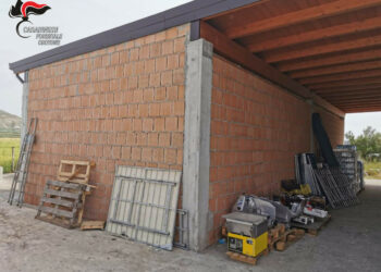 Cutro: Costruzione abusiva e alimenti avariati sequestrati dai Carabinieri forestali