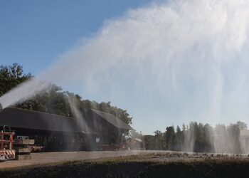 Disinfezione spiagge, Wwf: evitare scempi ambientali inutili