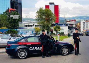 Inseguimento lungo la SS107, i Carabinieri arrestano un pregiudicato crotonese  32enne