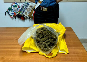 Isola Capo Rizzuto: Sorpresi dai Carabinieri con la droga in auto, arresti due giovani