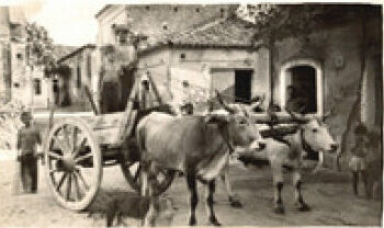 La Calabria di Francesco Garreffa