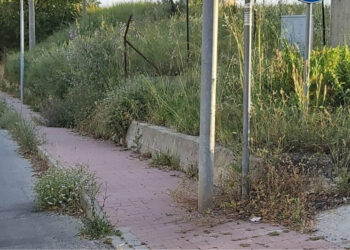 La pista ciclabile di Papanice in stato di abbandono, il comune: “prossima settimana ripristino e manutenzione”