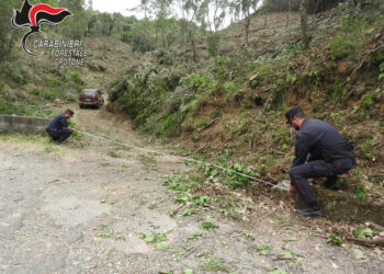 Umbriatico: Muretto strada provinciale demolito illecitamente