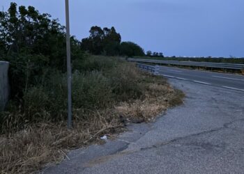 Le contrade nord di Crotone in totale abbandono, il Comitato scrive al Commissario