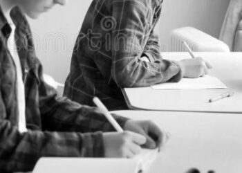 Didattica al tempo del Coronavirus: testimonianze di due studentesse del Liceo Classico “Borrelli” di Santa Severina