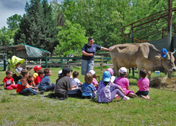 Coronavirus: Coldiretti Calabria scrive ai sindaci per l’annullamento della Tari sugli agriturismi per il 2020