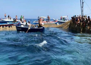 Pesca Tonno rosso: cresce la quota riservata ai pescatori calabresi