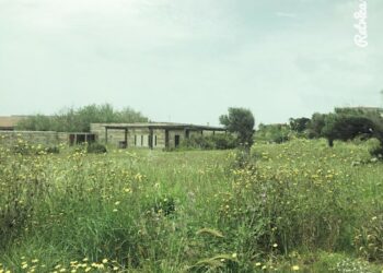 Il museo di Capocolonna completamente abbandonato, cittadina crotonese scrive al Prefetto di Crotone